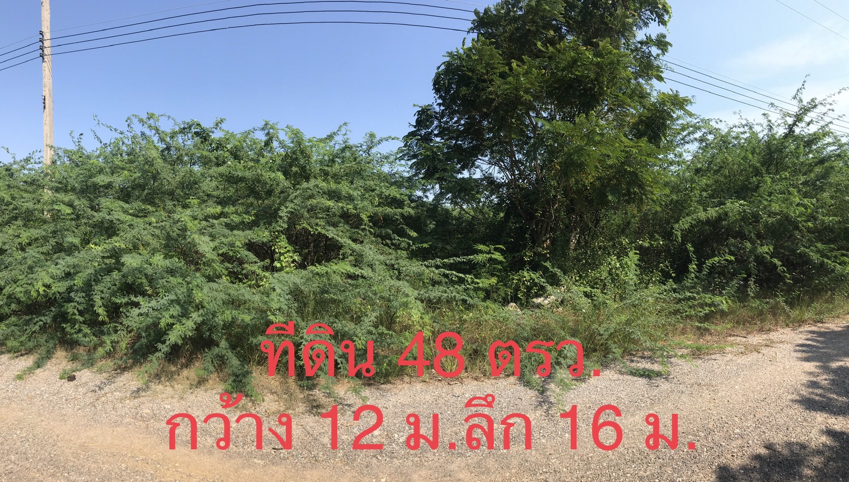 ขายที่ดินใกล้หาดปึกเตียน 48 ตรว. 279,000 บาท